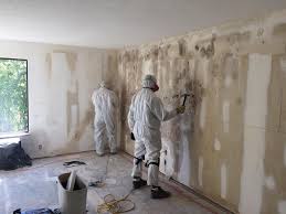 Best Emergency Mold Remediation  in Red Lake, MN